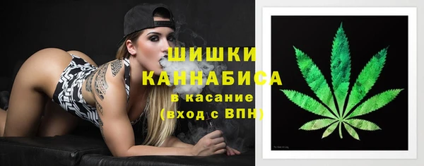 соль ск Михайлов