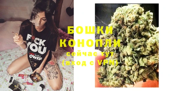 соль ск Михайлов