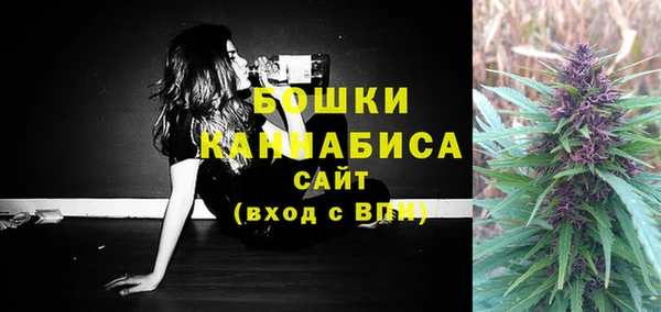PSILOCYBIN Навашино
