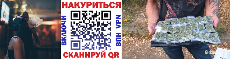 Каннабис план  Куровское 